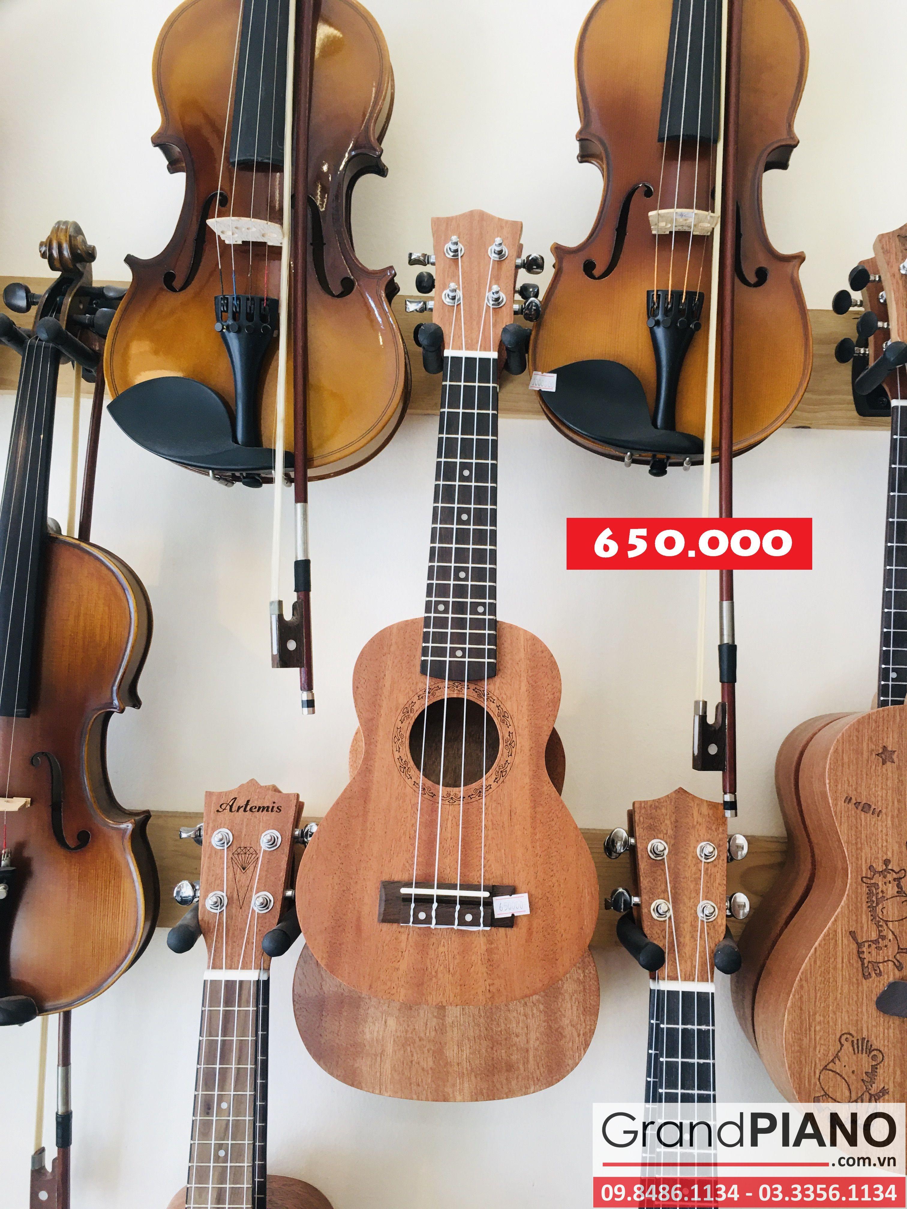 Đàn Ukulele size 21"- 2 - 650.000 